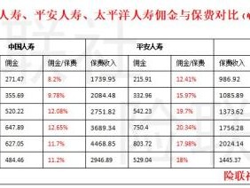 中国车险最差十大排名(中国车险最好的保险公司排名)