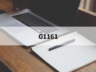 G1161(G116161023是纯银吗)