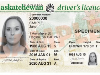 驾驶证类别(驾驶证类别怎么填)