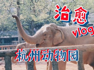 杭州动物园需要提前预约吗(现在去杭州动物园需要提前预约吗)