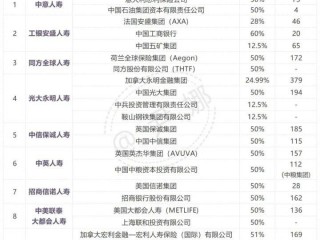 中国最大的保险公司是哪个排第一(中国最大的保险公司是哪个排第一名)